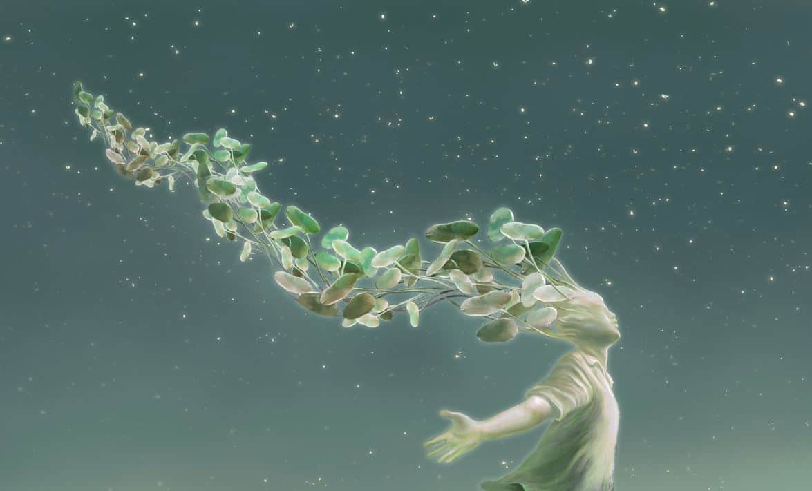 dreaming a better life dreaming a better life